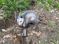 IMG_8930.jpeg IMG_8930.jpeg