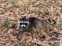 IMG_8929.jpeg IMG_8929.jpeg