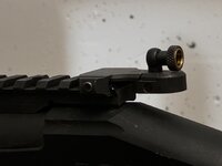 IMG_6454.jpeg IMG_6454.jpeg