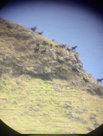 1773027337736.png 1773027337736.png