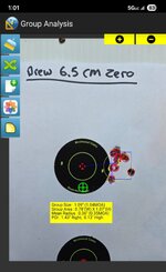 6.5 cm 10 rd group.JPG