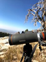 National Forrest Mavens.jpg