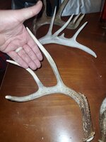 20240302_182607.jpg 20240302_182607.jpg