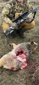 View recent photos.png