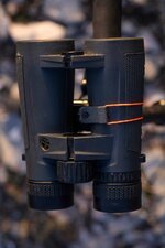 BeauDay_2026-04812 (1).jpg