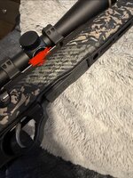 IMG_3178.jpeg