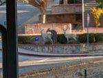 IMG_20191027_084925.jpg