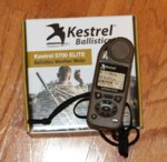 Kestrel.JPG