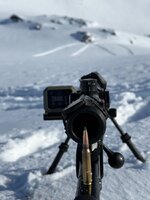 IMG_2924.jpeg IMG_2924.jpeg