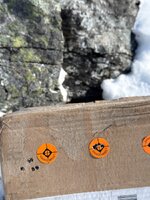 IMG_2925.jpeg IMG_2925.jpeg