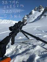 IMG_2929.jpeg IMG_2929.jpeg