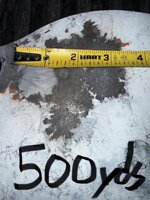 IMG_7499.jpeg IMG_7499.jpeg