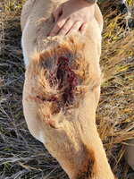 341088408621613062.jpeg 341088408621613062.jpeg