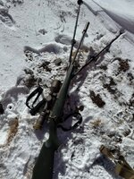 IMG_5023.jpeg IMG_5023.jpeg