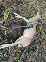 12-8-25 My Deer.jpeg