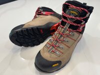 IMG_3788.jpeg IMG_3788.jpeg