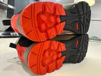 IMG_3784.jpeg IMG_3784.jpeg