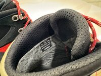 IMG_3778.jpeg IMG_3778.jpeg