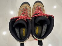 IMG_3779.jpeg IMG_3779.jpeg