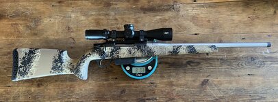 IMG_6001.jpeg IMG_6001.jpeg