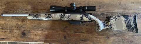 IMG_6003.jpeg IMG_6003.jpeg