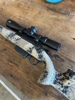 IMG_6002.jpeg IMG_6002.jpeg