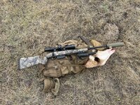 IMG_5150.jpeg IMG_5150.jpeg