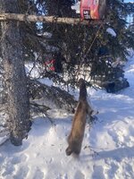 IMG_5423.jpeg IMG_5423.jpeg