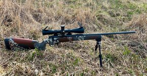 IMG_3776.jpeg IMG_3776.jpeg