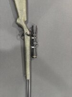 IMG_0730.jpg IMG_0730.jpg