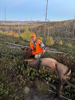 IMG_0332.jpg IMG_0332.jpg