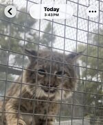 IMG_3749.jpeg IMG_3749.jpeg