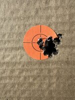 IMG_4881.jpeg IMG_4881.jpeg