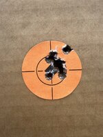 IMG_4981.jpeg IMG_4981.jpeg