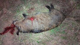 20260309_202539.jpg 20260309_202539.jpg