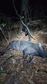 20260314_235222.jpg 20260314_235222.jpg