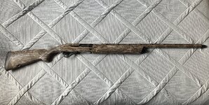 IMG_7266.jpeg IMG_7266.jpeg