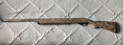 IMG_7267.jpeg IMG_7267.jpeg