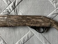 IMG_7268.jpeg IMG_7268.jpeg