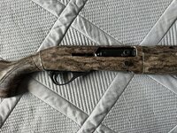 IMG_7269.jpeg IMG_7269.jpeg