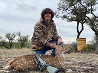 80082.jpeg 80082.jpeg