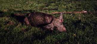 20260305_210425 copy.jpg