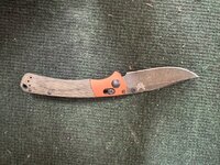 IMG_1183.jpeg