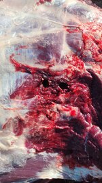 Snapchat-1229041181 (1).jpg