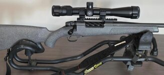 IMG_3821.jpeg IMG_3821.jpeg