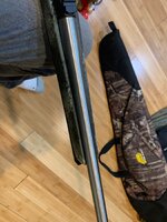 IMG_2534.jpeg