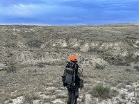 IMG_1630 (Small).JPG