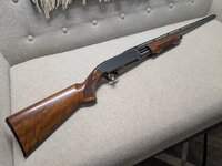 PXL_20260320_155946055.jpg PXL_20260320_155946055.jpg