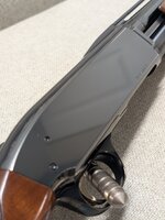 PXL_20260320_160046478.jpg PXL_20260320_160046478.jpg