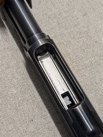 PXL_20260320_160310151.jpg PXL_20260320_160310151.jpg